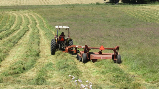 Making Hay When The Sun Shines