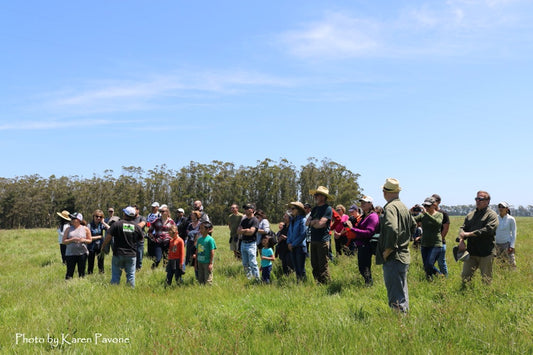 Take a Stemple Creek Ranch Tour!