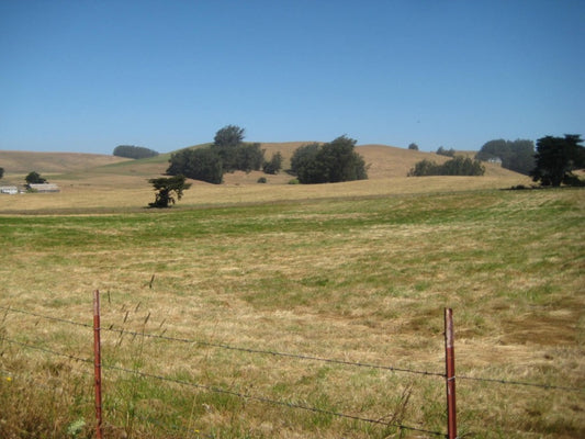The Golden State