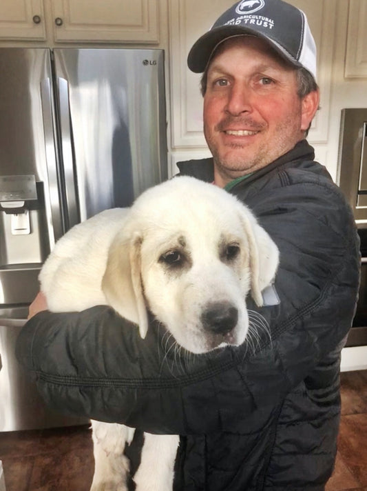 Welcoming our new Protection Pup!