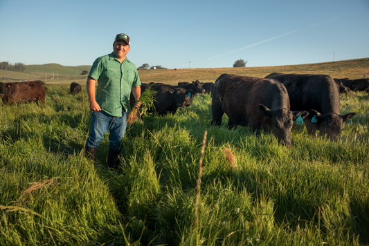 "Why is Grass Fed Beef Better?"