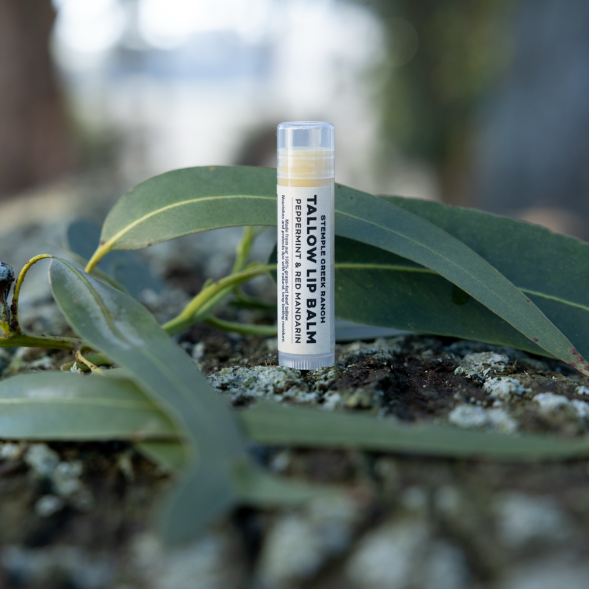 Tallow Lip Balm