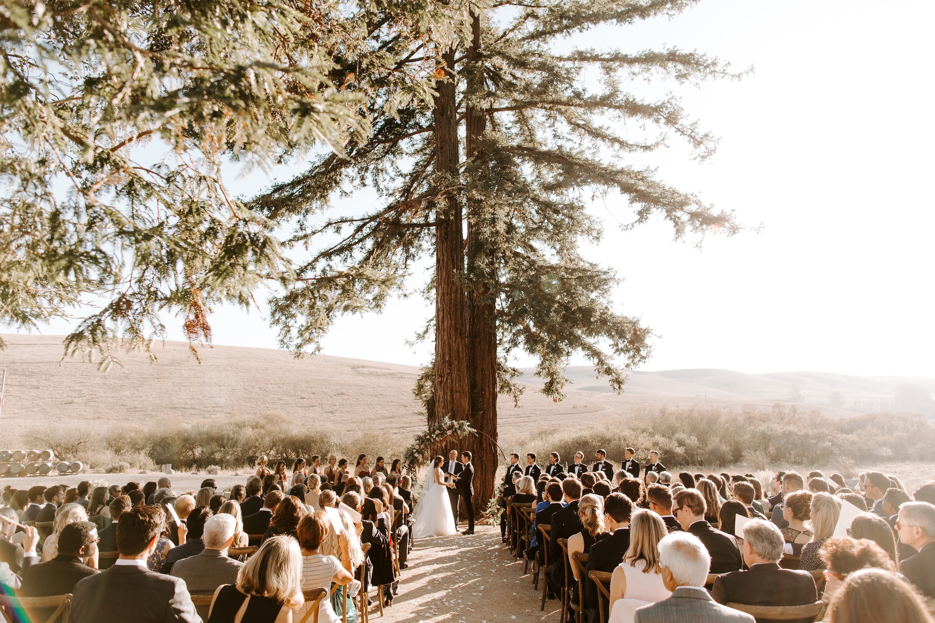 Outdoor wedding ceremony under a giant redwood tree with guests seated and a couple exchanging vows