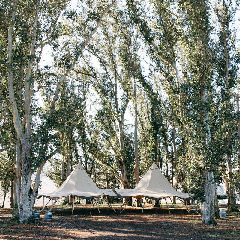 Outdoor ranch setting