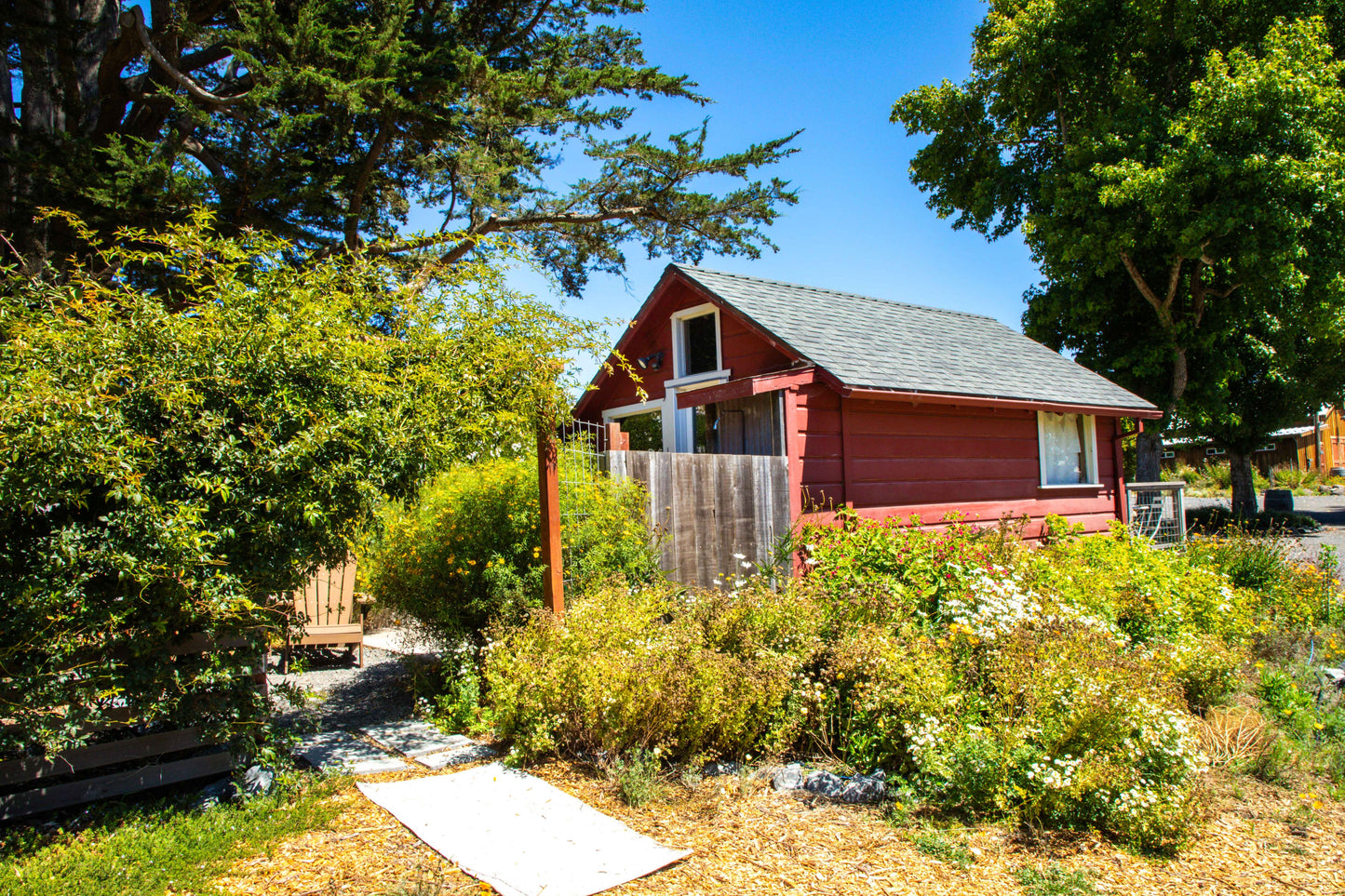 The backyard area.
