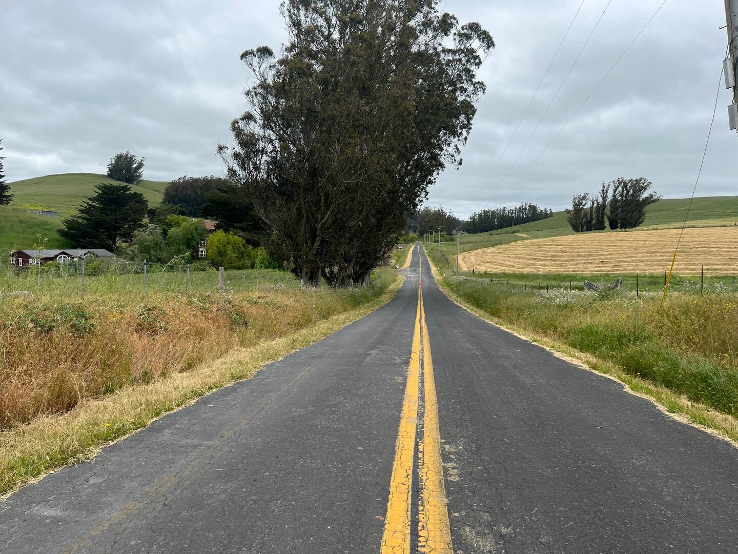 Stemple Creek Rach is just off Highway 1 a couple of miles north of the town of Tomales in Marin County, CA.
