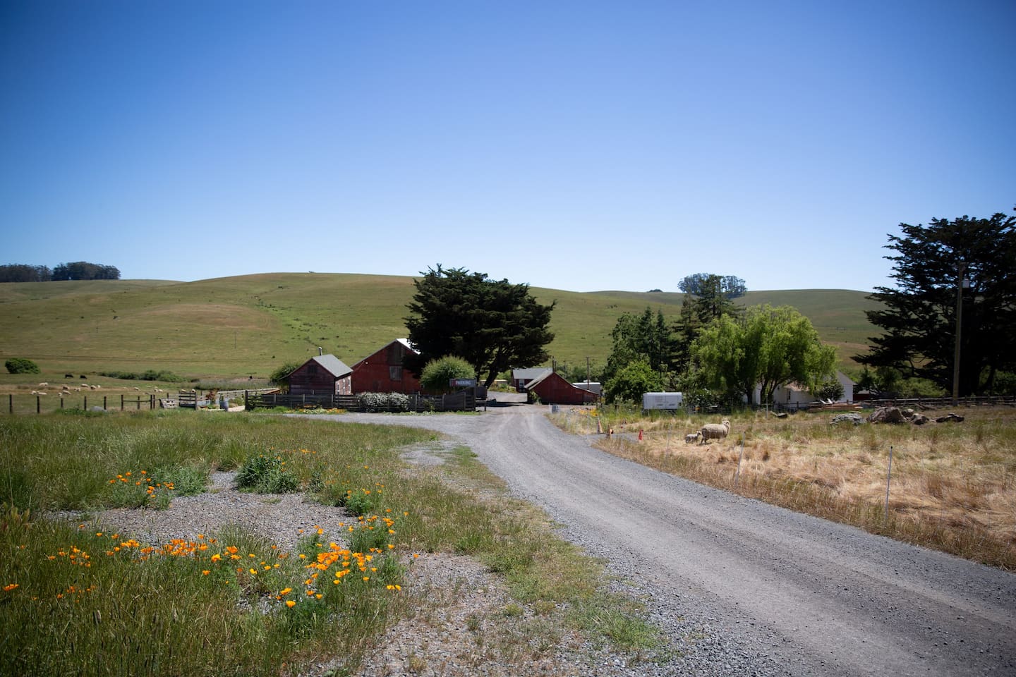 The Writer's Cottage