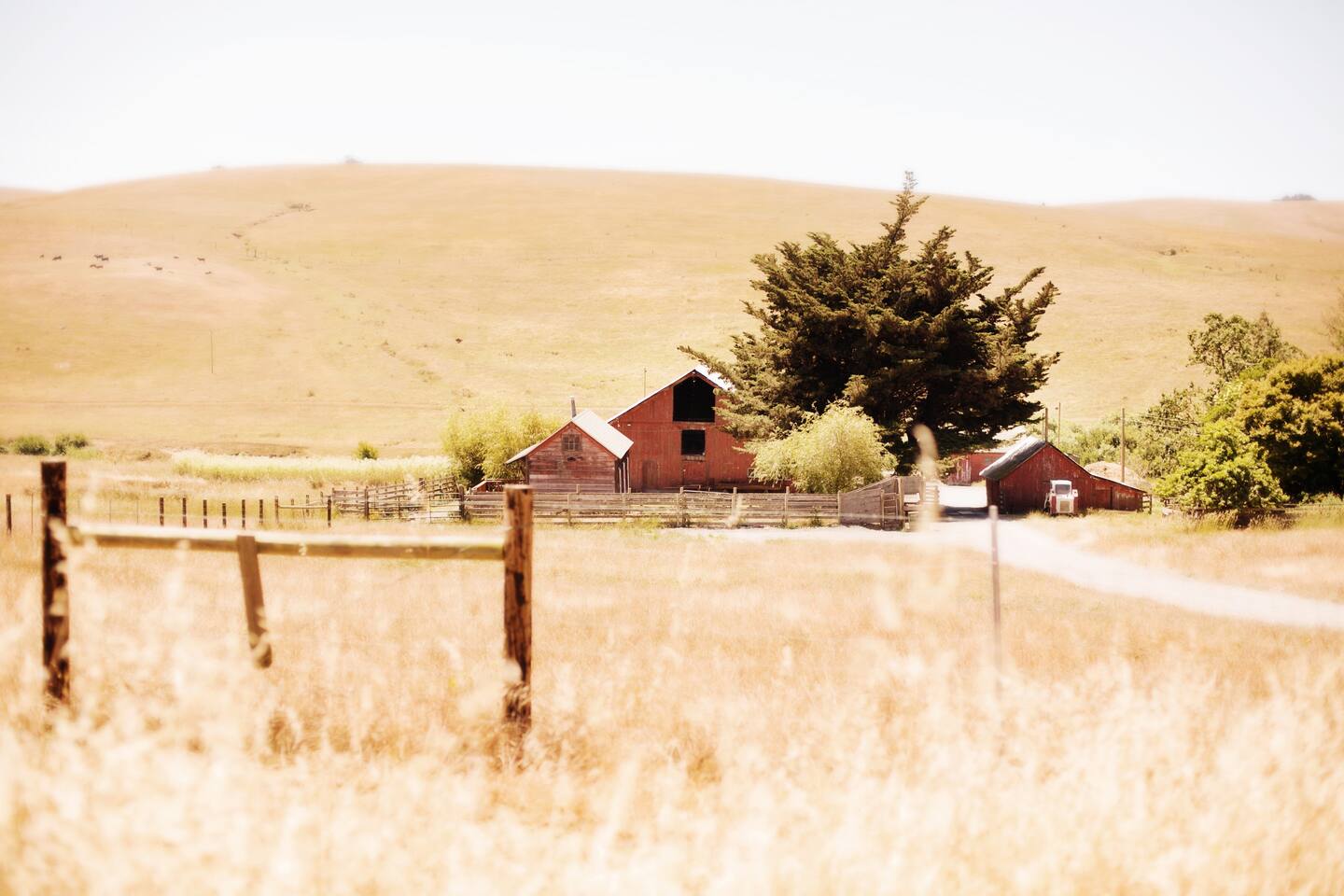 The Writer's Cottage