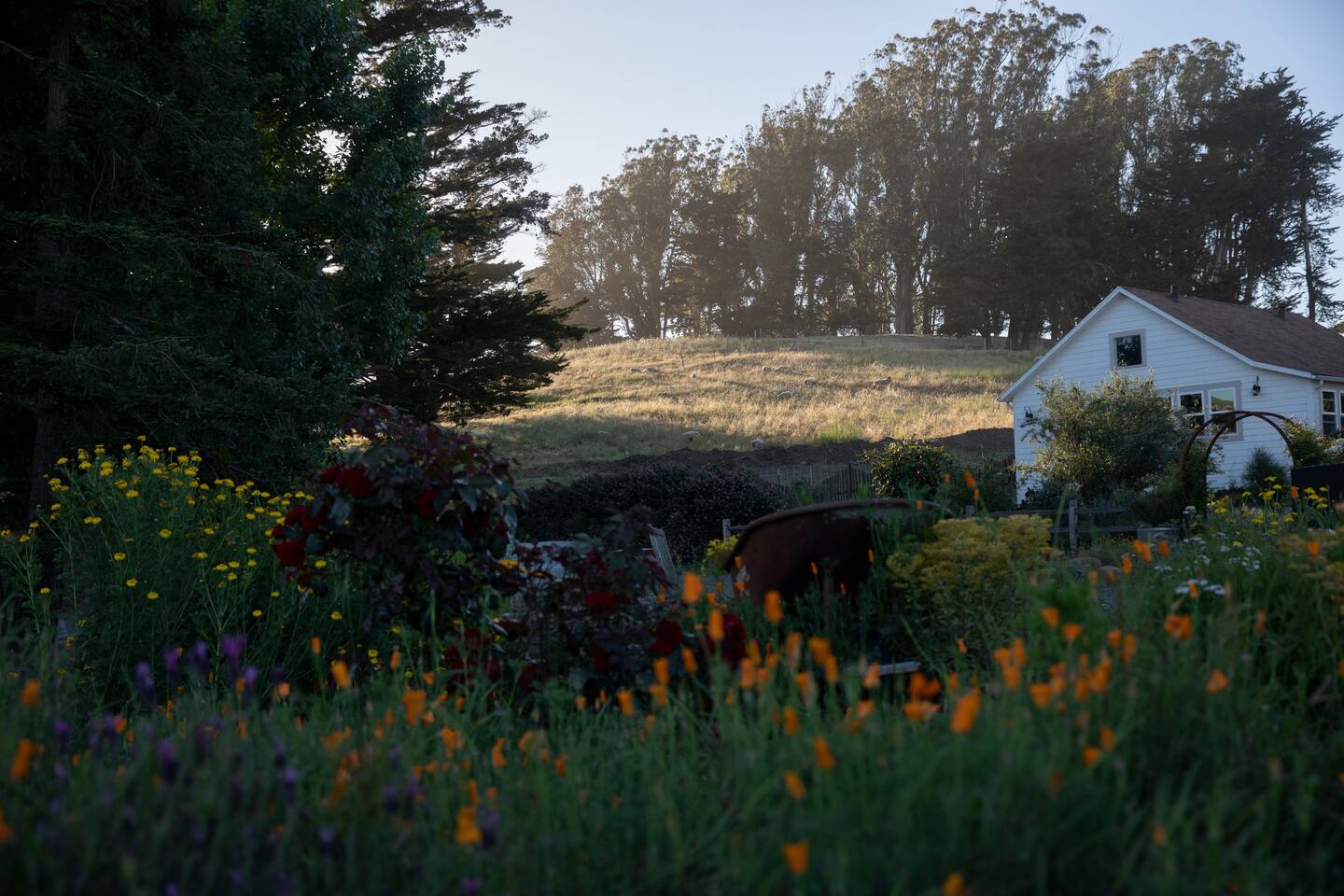 The School House garden has views of the countryside.