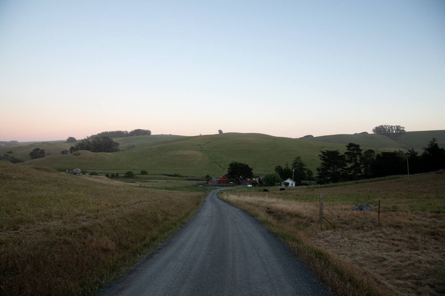The driveway down to our little slice of heaven.
