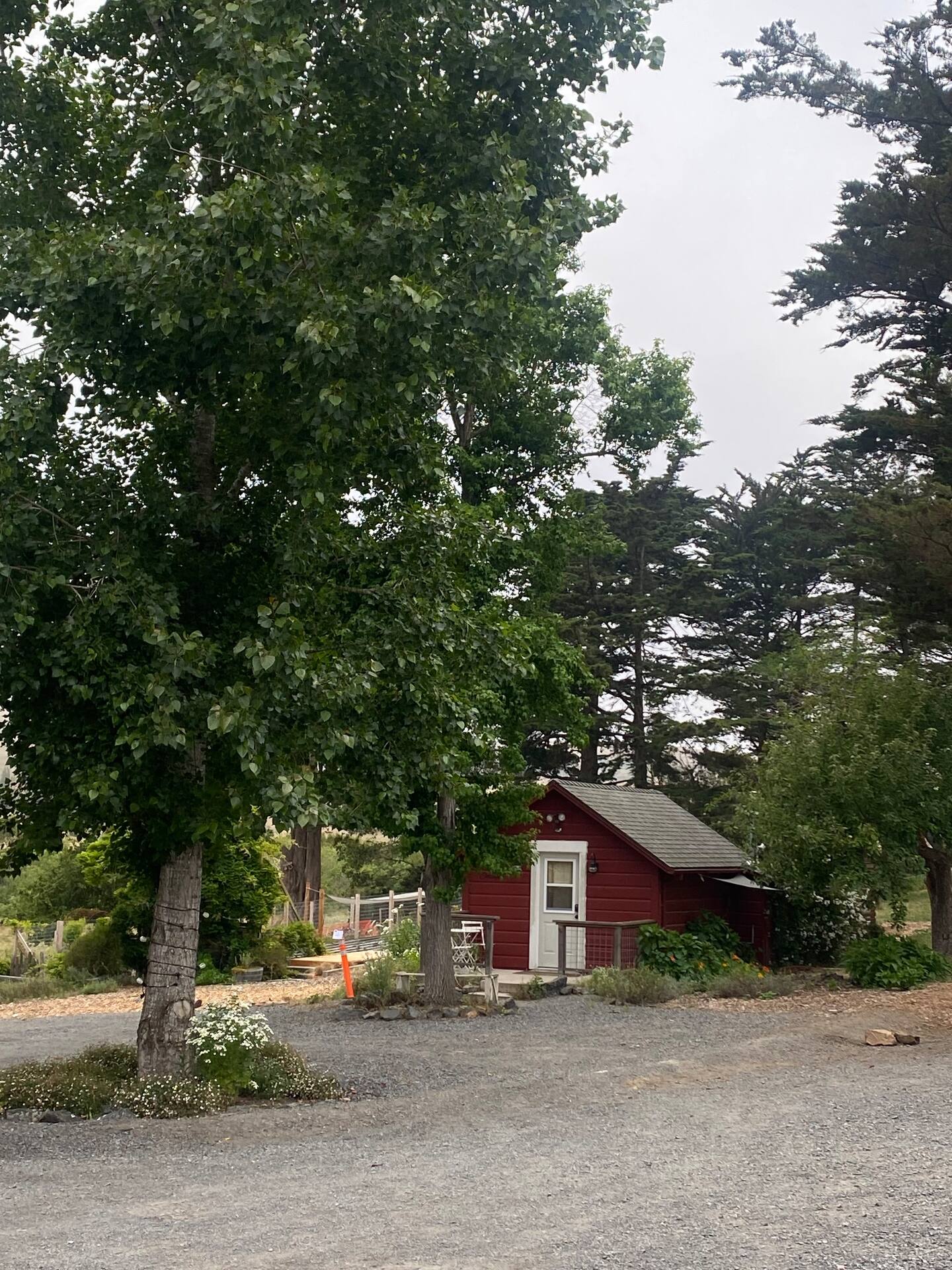 The Writer's Cottage