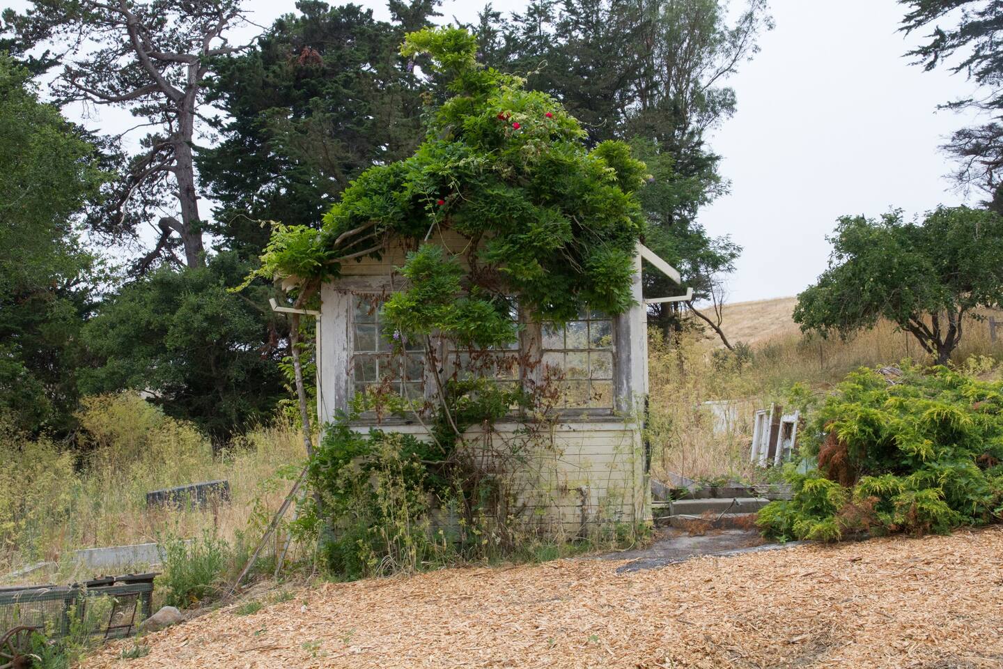 The Writer's Cottage