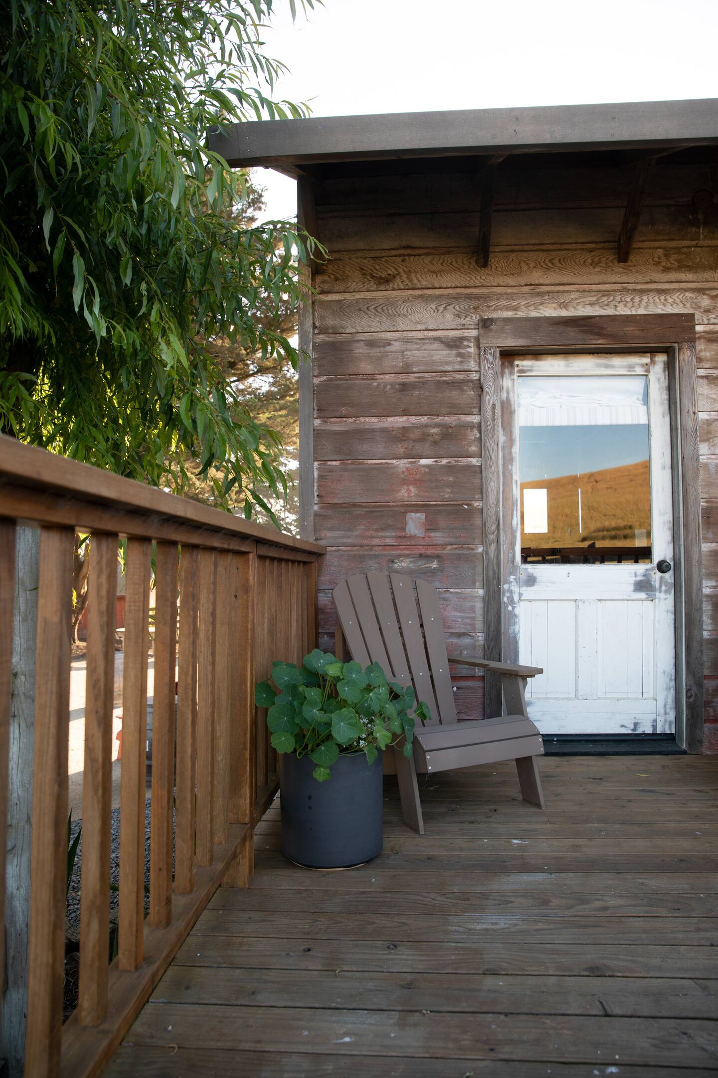 The Cabin (aka the Love Shack)