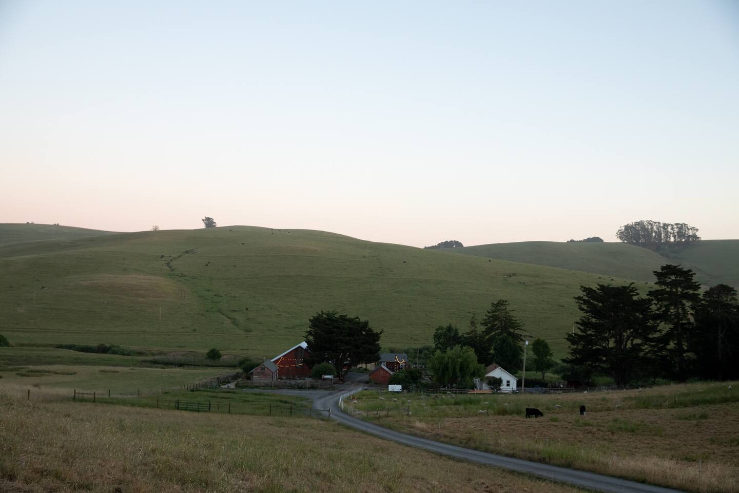 The driveway down to our little slice of heaven.