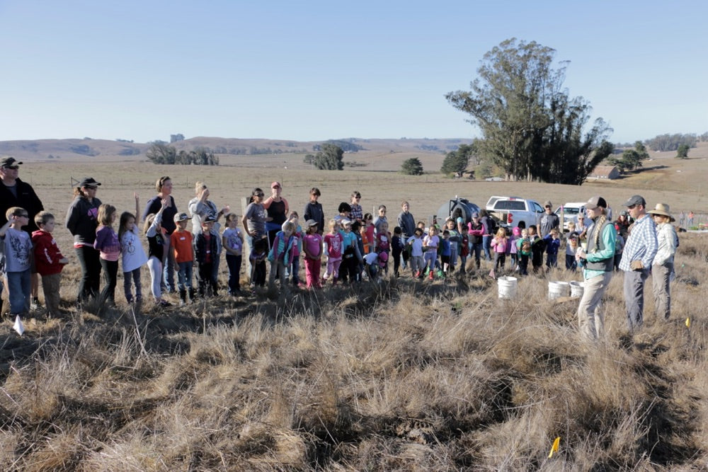 STRAW visits Stemple Creek