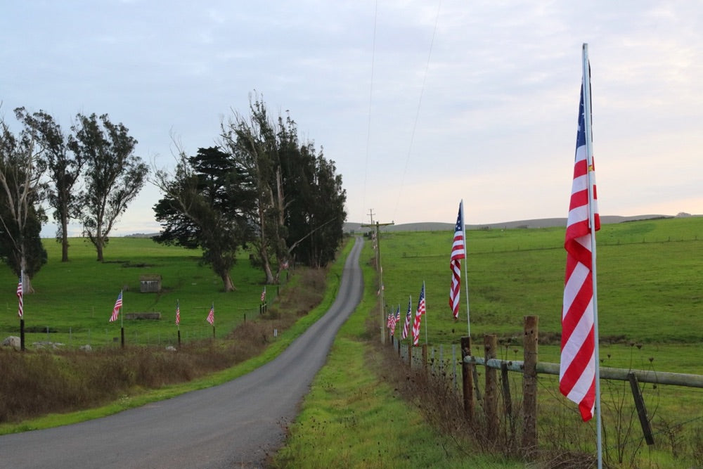 Celebrating Our Veterans with Ranchin' Vets