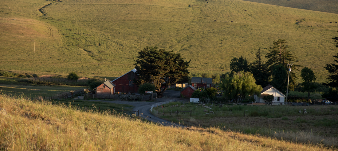 Rustic Ranch Stay in Bay Area