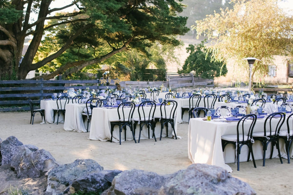 Beautiful wedding portrait in West Marin countryside