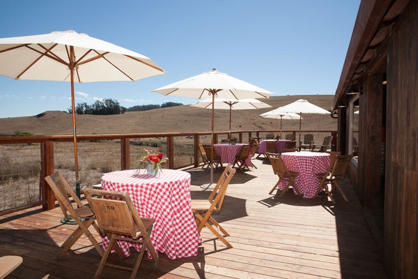 Farm-to-table wedding dining experience