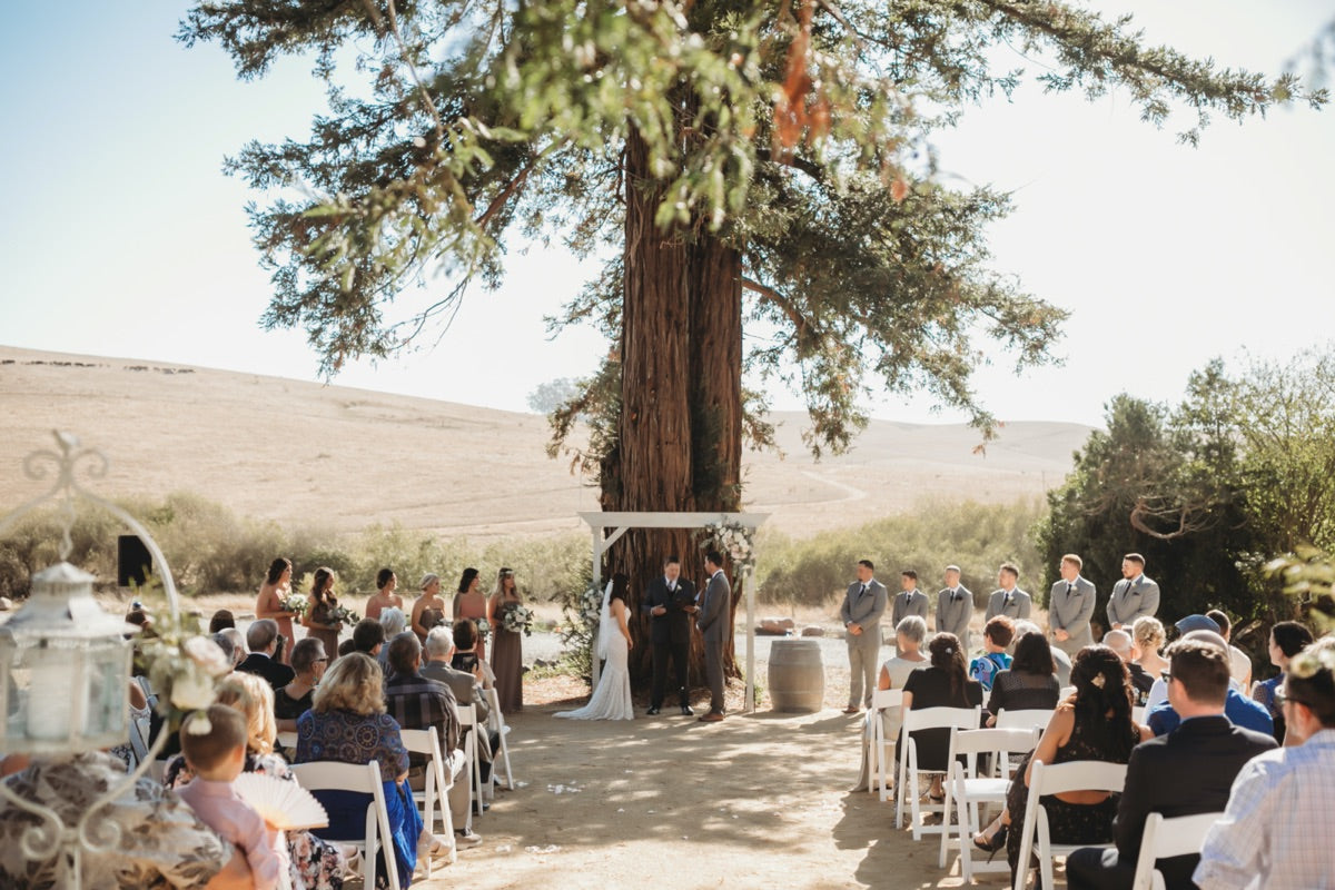 Wedding ceremony surrounded by West Marin hills