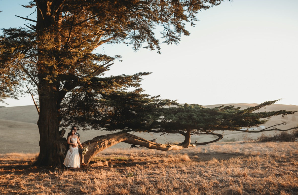 Romantic couple photos surrounded by West Marin natural beauty