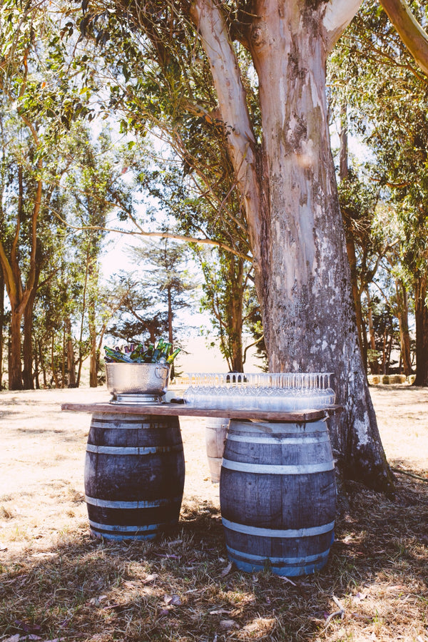 Joyful wedding celebration at Stemple Creek Ranch