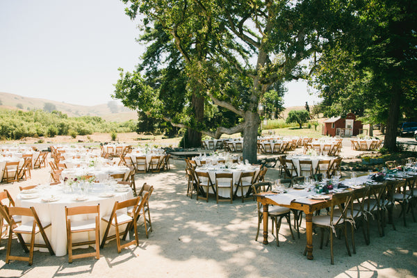 Wedding celebration under the majestic oak trees