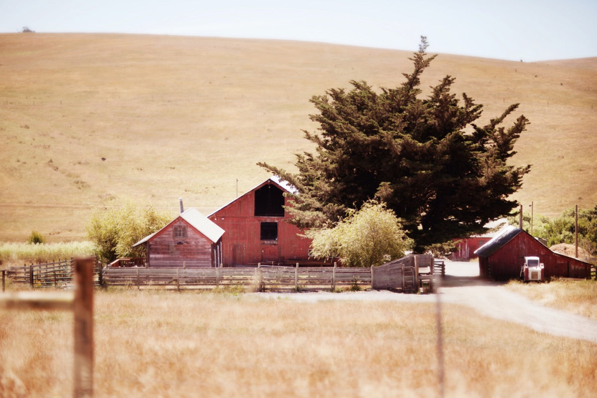 Scenic view of the barn from the ranch driveway