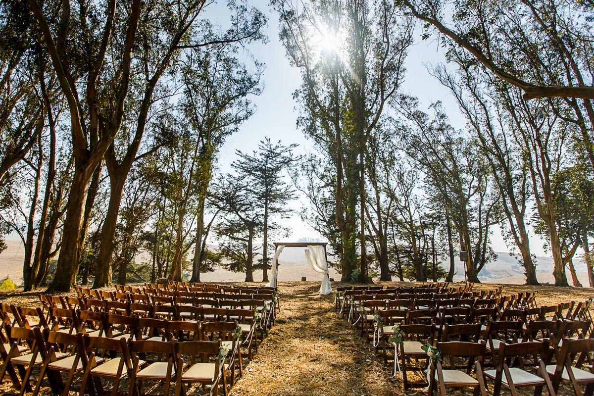 Intimate ceremony in the hilltop eucalyptus grove