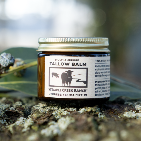 Jar of tallow balm on a natural background with leaves and rocks