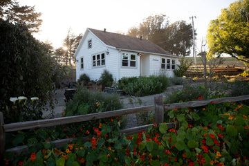 The Schoolhouse